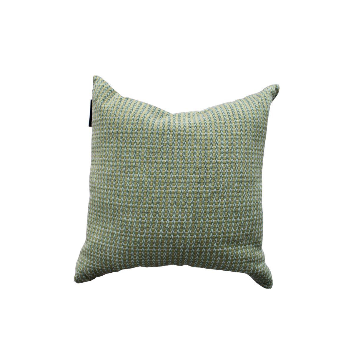 Caplino Square Ivy Pillow 24x24