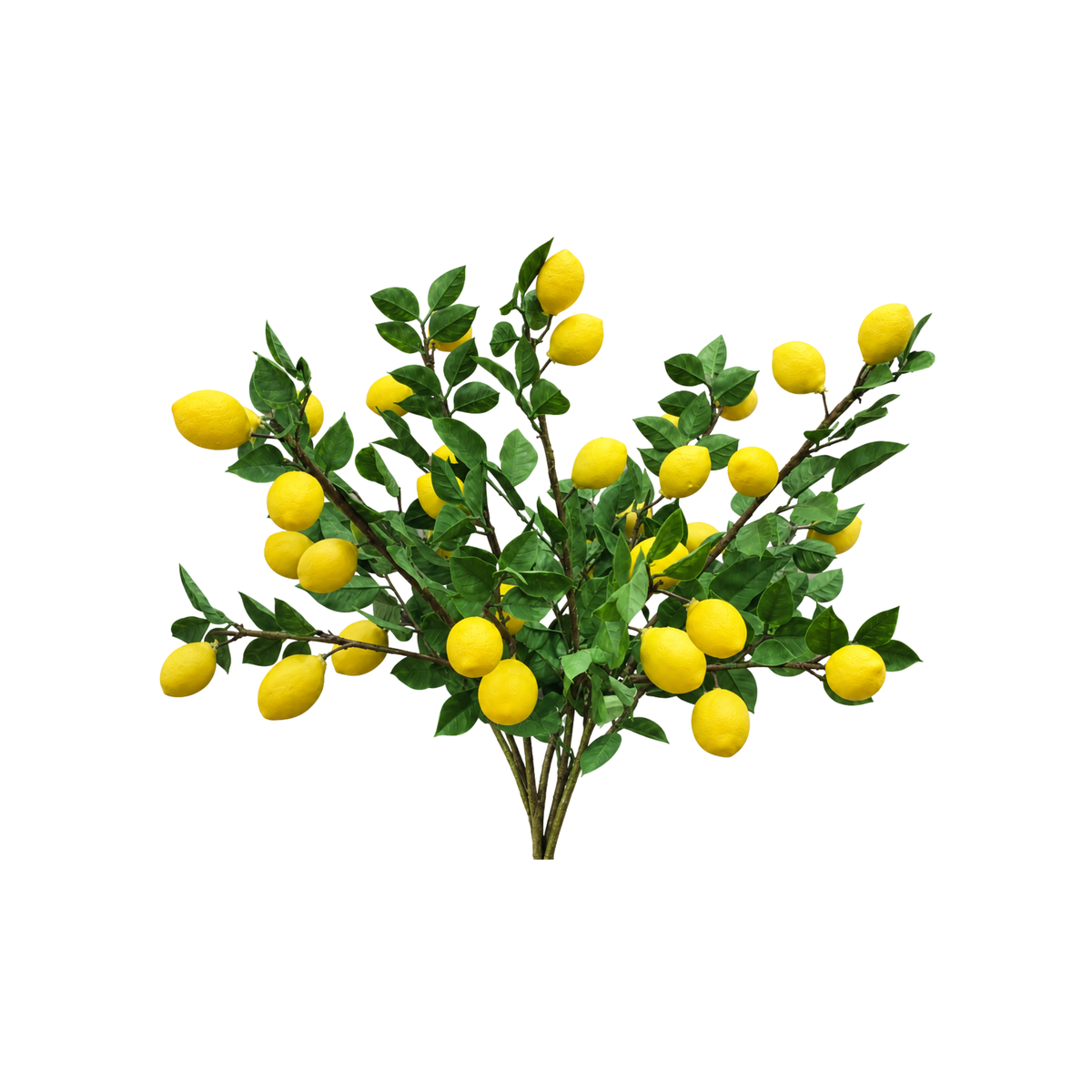 Lemon and Foliage Spray 30 inch