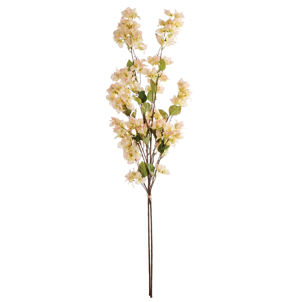 Bougainvillea Stems 54" Bundle 2